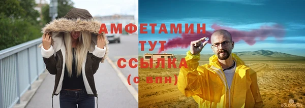 ГАЛЛЮЦИНОГЕННЫЕ ГРИБЫ Новозыбков