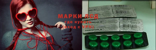 ГАЛЛЮЦИНОГЕННЫЕ ГРИБЫ Новозыбков