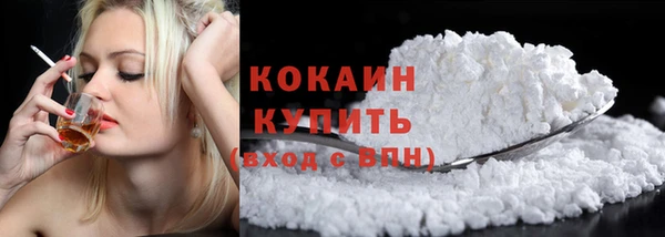 молекула духа Богородск