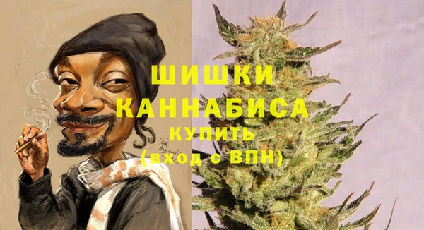 ГАЛЛЮЦИНОГЕННЫЕ ГРИБЫ Новозыбков