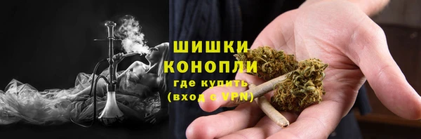 соль ск Богородицк