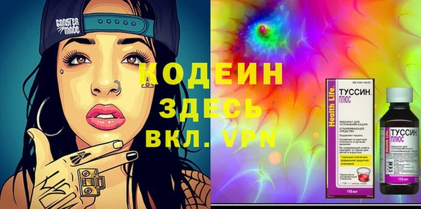 ГАЛЛЮЦИНОГЕННЫЕ ГРИБЫ Новозыбков