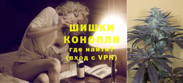 ГАЛЛЮЦИНОГЕННЫЕ ГРИБЫ Новозыбков