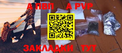 мет Кингисепп