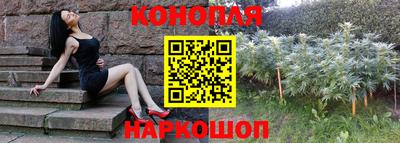 мет Кингисепп