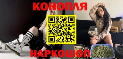 мет Кингисепп
