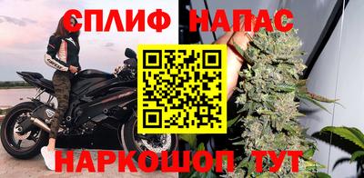 мет Кингисепп